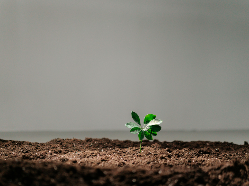 Cultural Transformation for a Thailand-based Hotel Group